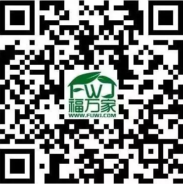 福万家三七 福万家三七